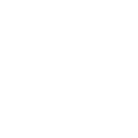 Netflix Icon