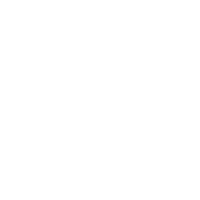 Eleiko Icon